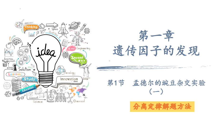 1.1分离定律解题方法 ppt课件-2023新人教版（2019）《高中生物》必修第二册.pptx_第1页