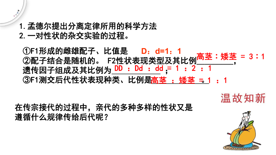 1.2孟德尔的豌豆杂交实验（二） ppt课件(8)-2023新人教版（2019）《高中生物》必修第二册.pptx_第2页