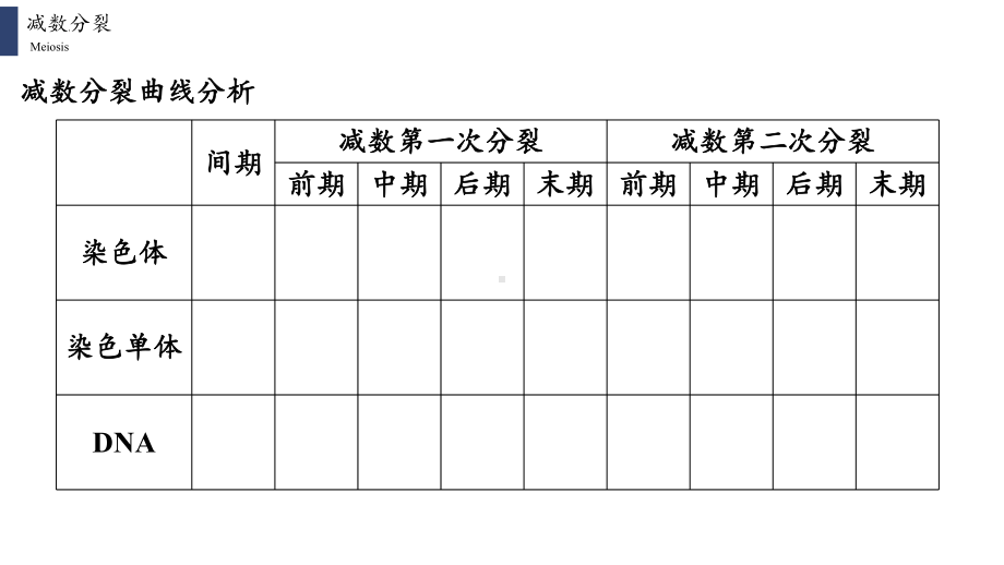 2.1.2 减数分裂拓展和受精作用 ppt课件-2023新人教版（2019）《高中生物》必修第二册.pptx_第3页