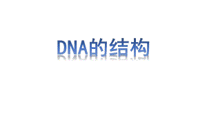 3.2DNA的结构 ppt课件（0002）(11)-2023新人教版（2019）《高中生物》必修第二册.pptx