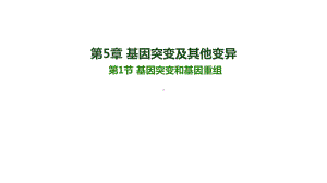 5.1 基因突变和基因重组 ppt课件(5)-2023新人教版（2019）《高中生物》必修第二册.pptx