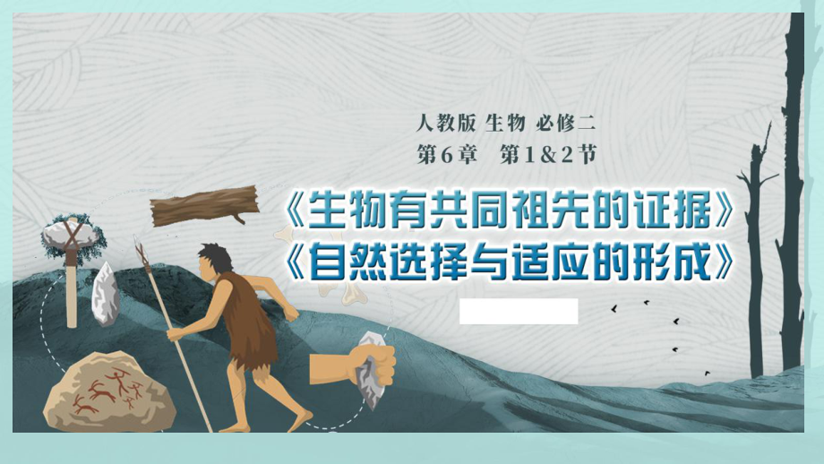 6.1生物有共同祖先的证据+6.2自然选择与适应的形成 ppt课件-2023新人教版（2019）《高中生物》必修第二册.pptx_第1页