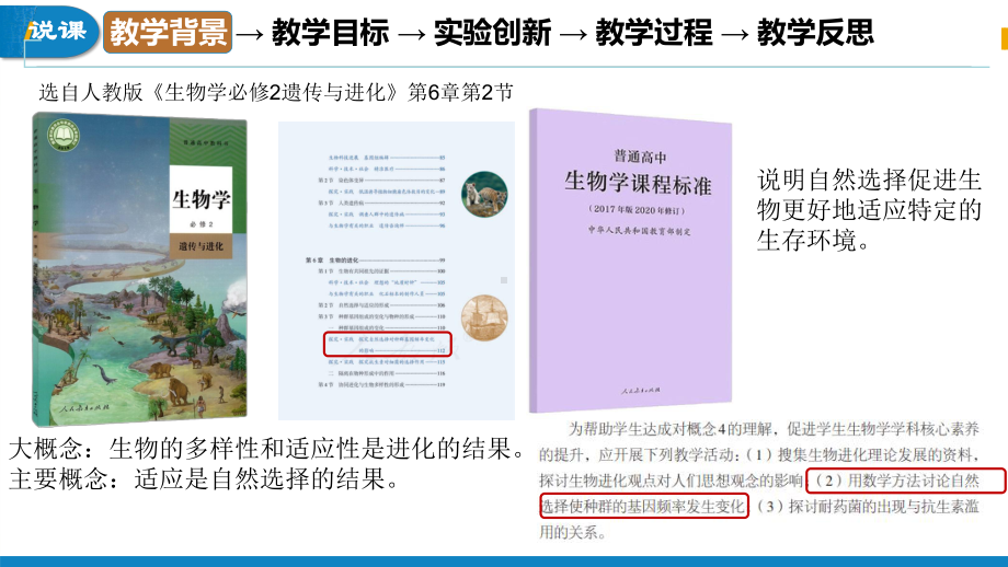 6.3探究自然选择对种群基因频率变化的影响说课 ppt课件-2023新人教版（2019）《高中生物》必修第二册.pptx_第2页