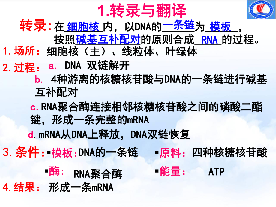 遗传与进化第四章复习 ppt课件-2023新人教版（2019）《高中生物》必修第二册.pptx_第3页