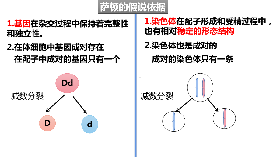 2.2基因在染色体上 ppt课件(2)-2023新人教版（2019）《高中生物》必修第二册.pptx_第3页