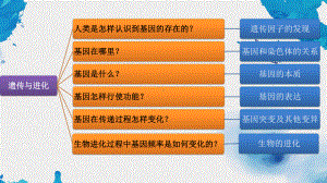 1.1孟德尔的豌豆杂交实验（一） ppt课件（0002）(4)-2023新人教版（2019）《高中生物》必修第二册.pptx