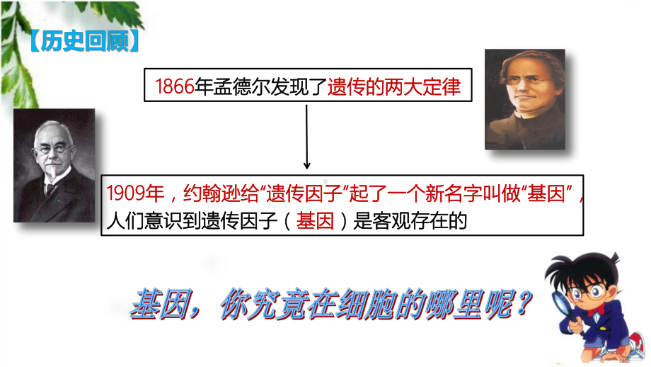 2.2基因在染色体上 ppt课件(5)-2023新人教版（2019）《高中生物》必修第二册.pptx_第2页