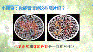 2.3伴性遗传 ppt课件（001）-2023新人教版（2019）《高中生物》必修第二册.pptx