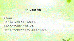 5.3人类遗传病 ppt课件(6)-2023新人教版（2019）《高中生物》必修第二册.pptx