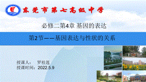 4.2基因表达与性状的关系 ppt课件（0002）(3)-2023新人教版（2019）《高中生物》必修第二册.pptx