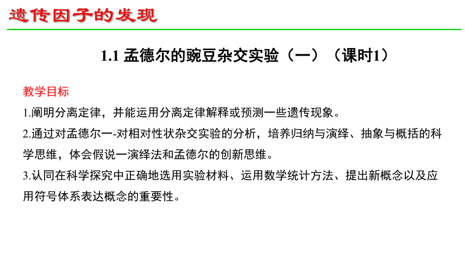 1.1孟德尔的豌豆杂交实验（一）（第1课时） ppt课件 -2023新人教版（2019）《高中生物》必修第二册.pptx_第1页