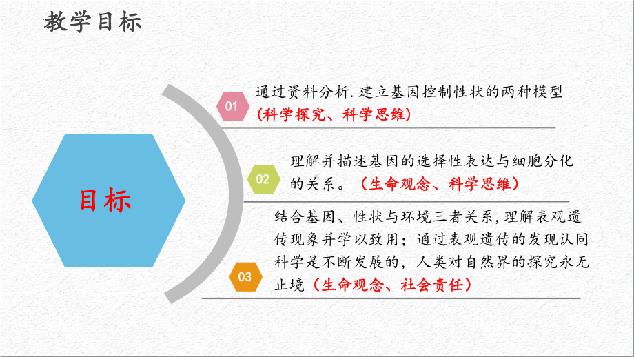 4.2基因表达与性状的关系 ppt课件（0002）(6)-2023新人教版（2019）《高中生物》必修第二册.pptx_第2页