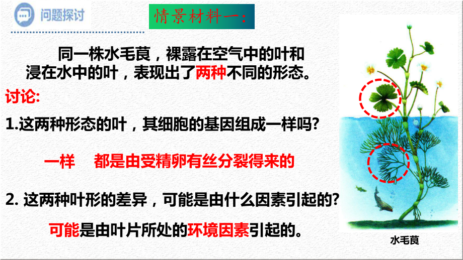 4.2基因表达与性状的关系 ppt课件（0002）(6)-2023新人教版（2019）《高中生物》必修第二册.pptx_第3页