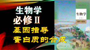 4.1 基因指导蛋白质的合成 ppt课件(4)-2023新人教版（2019）《高中生物》必修第二册.pptx