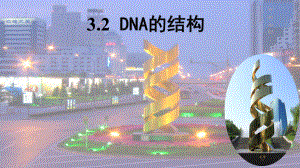 3.2DNA的结构 ppt课件（0002）(8)-2023新人教版（2019）《高中生物》必修第二册.pptx