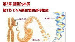 3.1DNA是主要的遗传物质 ppt课件（0002）-2023新人教版（2019）《高中生物》必修第二册.pptx