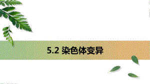 5.2 染色体变异 ppt课件(5)-2023新人教版（2019）《高中生物》必修第二册.pptx