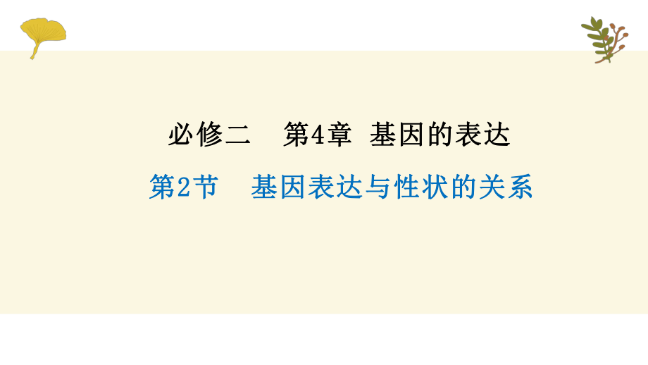 4.2基因表达与性状的关系 ppt课件（0002）(4)-2023新人教版（2019）《高中生物》必修第二册.pptx_第1页