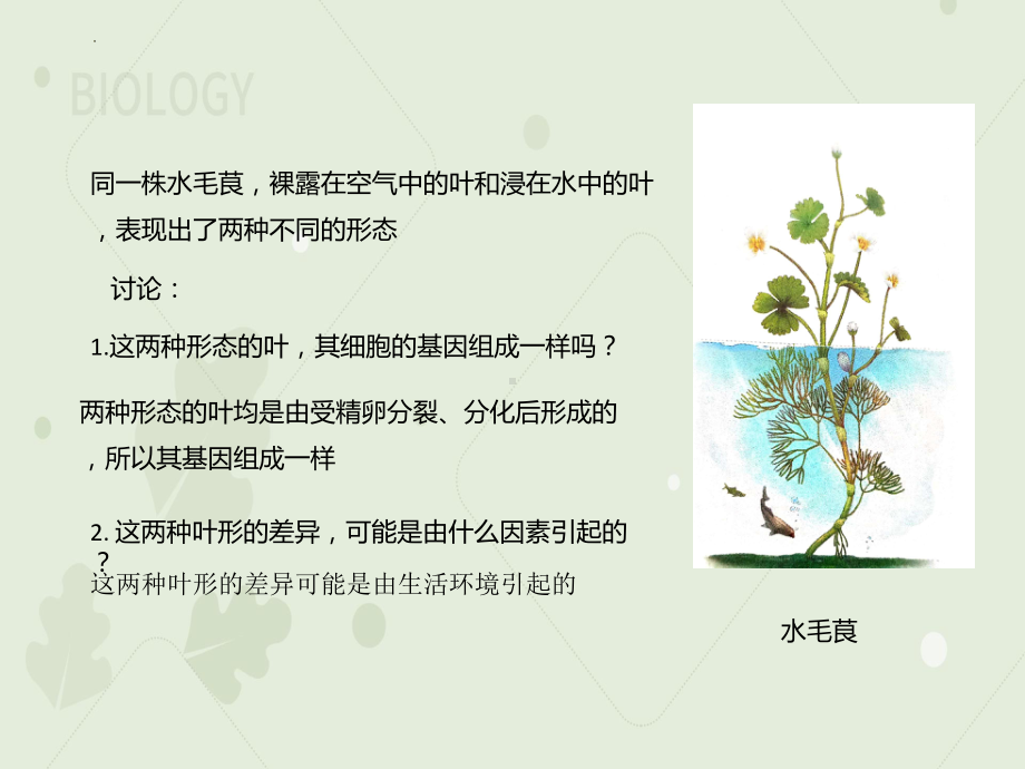 4.2基因表达与性状的关系 ppt课件-2023新人教版（2019）《高中生物》必修第二册.pptx_第2页