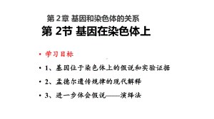 2.2基因在染色体上 ppt课件(7)-2023新人教版（2019）《高中生物》必修第二册.pptx