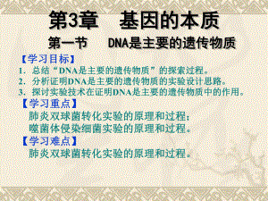 3.1 DNA是主要的遗传物质 ppt课件(5)-2023新人教版（2019）《高中生物》必修第二册.pptx