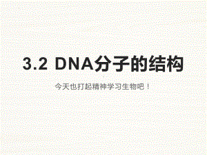 3.2DNA的结构 ppt课件（0002）(4)-2023新人教版（2019）《高中生物》必修第二册.pptx