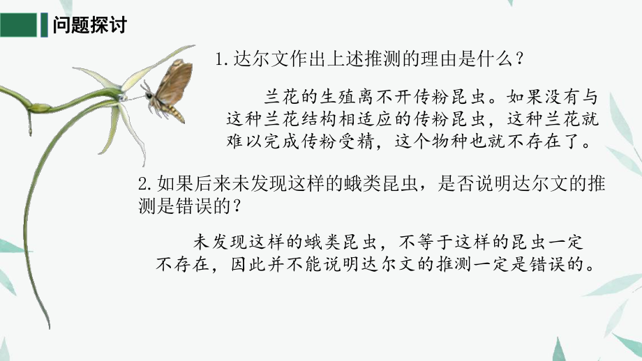 6.4协同进化与生物多样性的形成 ppt课件(7)-2023新人教版（2019）《高中生物》必修第二册.pptx_第3页