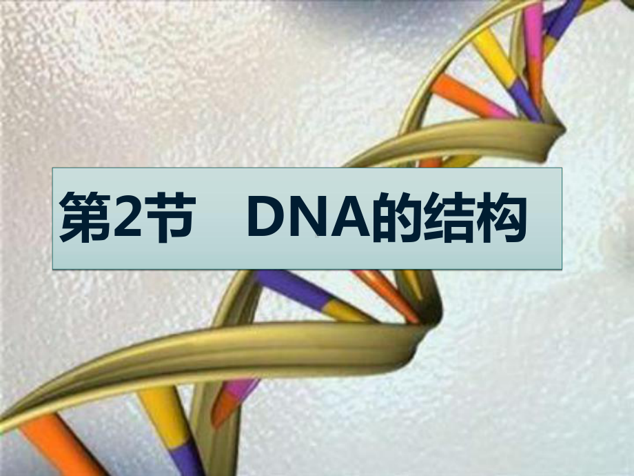 3.2DNA的结构 ppt课件(12)-2023新人教版（2019）《高中生物》必修第二册.pptx_第1页