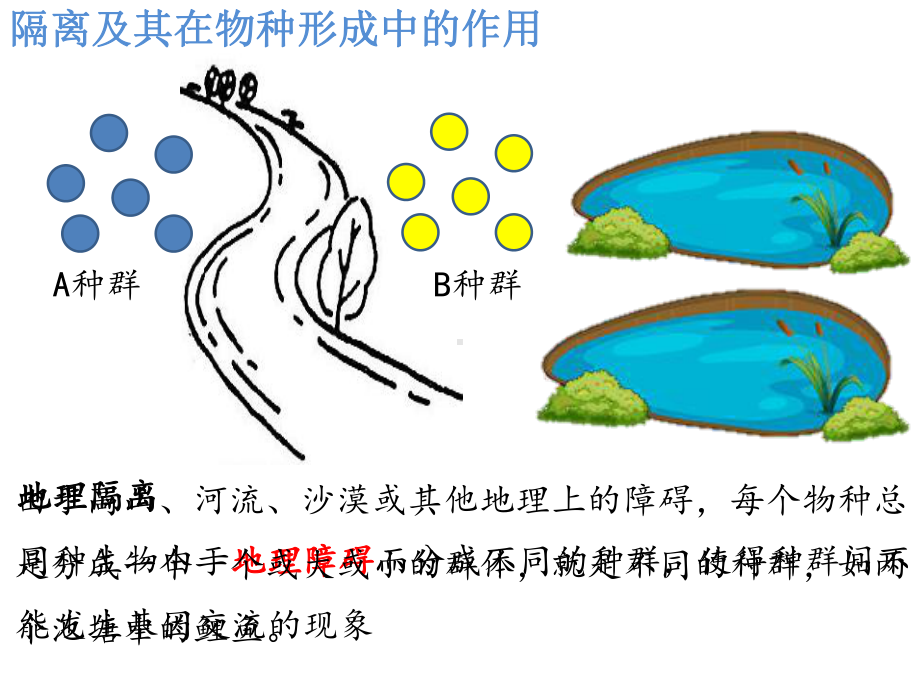 6.3.2隔离在物种形成中的作用 ppt课件(1)-2023新人教版（2019）《高中生物》必修第二册.pptx_第3页