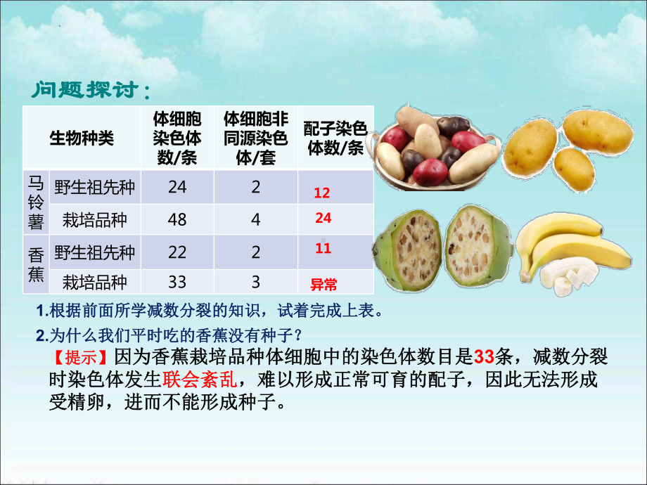 5.2染色体变异ppt课件-2023新人教版（2019）《高中生物》必修第二册.pptx_第1页