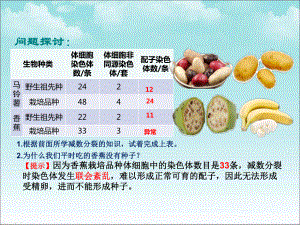 5.2染色体变异ppt课件-2023新人教版（2019）《高中生物》必修第二册.pptx