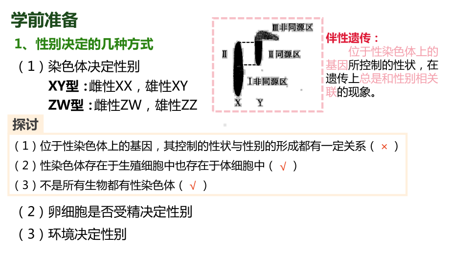 2.3 伴性遗传 ppt课件(2)-2023新人教版（2019）《高中生物》必修第二册.pptx_第2页