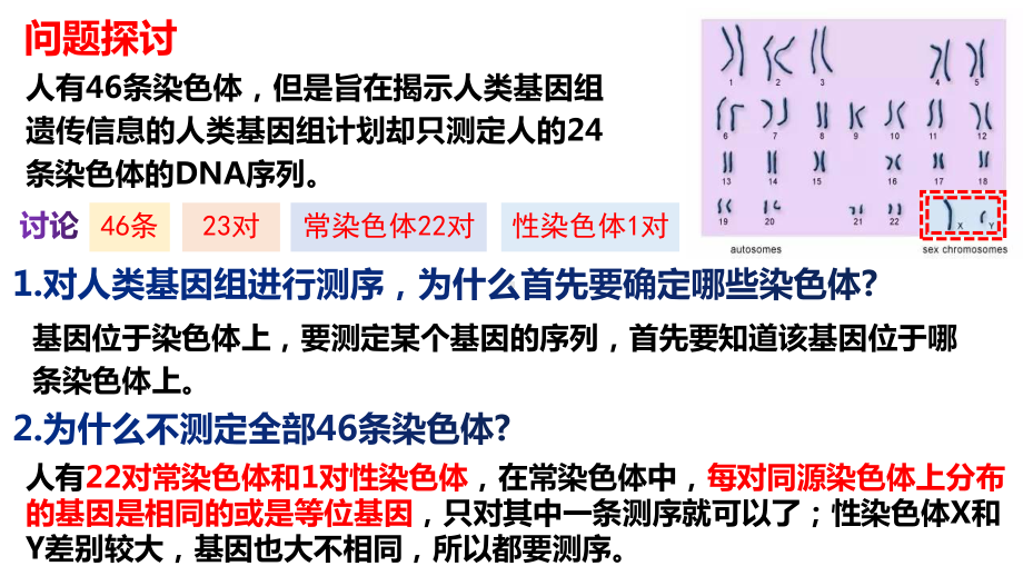 2.2 基因在染色体上 ppt课件(8)-2023新人教版（2019）《高中生物》必修第二册.pptx_第3页