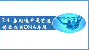 3.4基因通常是有遗传效应的DNA片段 ppt课件（0002）(4)-2023新人教版（2019）《高中生物》必修第二册.pptx