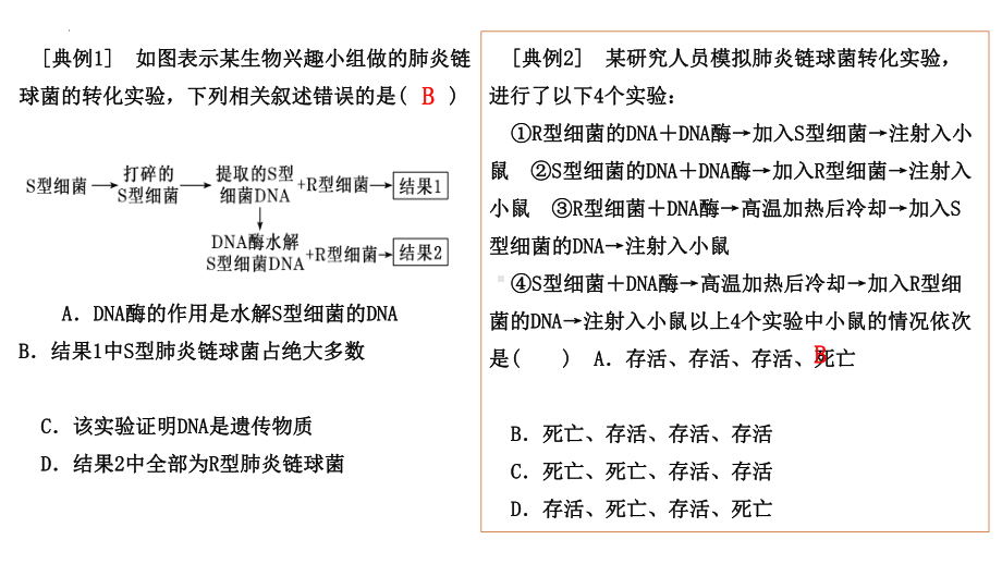 第三章基因的本质复习 ppt课件-2023新人教版（2019）《高中生物》必修第二册.pptx_第3页