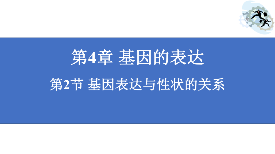 4.2 基因表达与性状的关系 ppt课件(4)-2023新人教版（2019）《高中生物》必修第二册.pptx_第1页