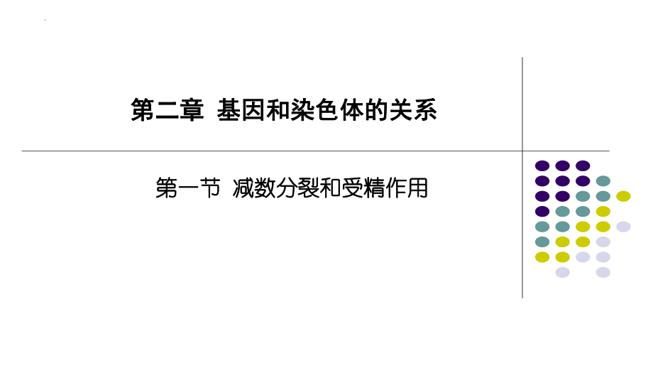 2.1减数分裂与受精作用 ppt课件（0002）-2023新人教版（2019）《高中生物》必修第二册.pptx_第2页