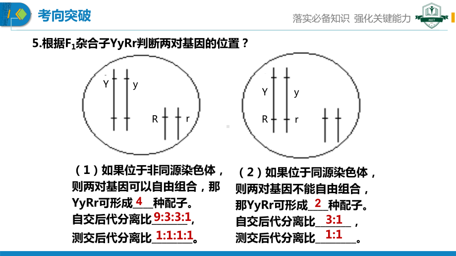 2.2基因在染色体上 ppt课件（0002）(1)-2023新人教版（2019）《高中生物》必修第二册.pptx_第1页