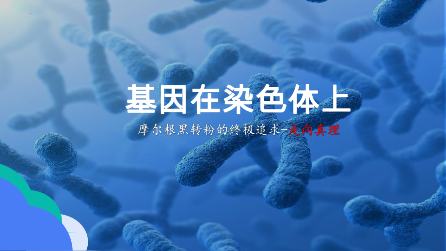 2.2基因在染色体上 ppt课件（0002）(1)-2023新人教版（2019）《高中生物》必修第二册.pptx_第2页