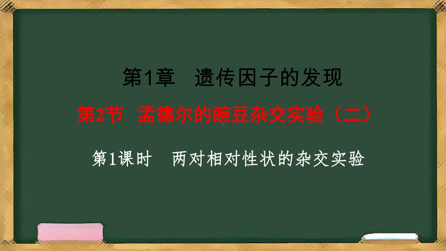 1.2孟德尔的豌豆杂交实验（二） 第1课时 ppt课件(1)-2023新人教版（2019）《高中生物》必修第二册.pptx_第1页