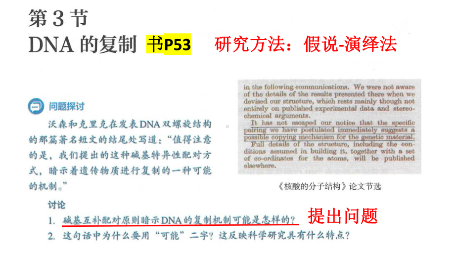 3.3DNA的复制 ppt课件(3)-2023新人教版（2019）《高中生物》必修第二册.pptx_第2页