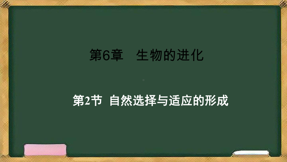 6.2自然选择与适应的形成 ppt课件（0002）(4)-2023新人教版（2019）《高中生物》必修第二册.pptx_第1页