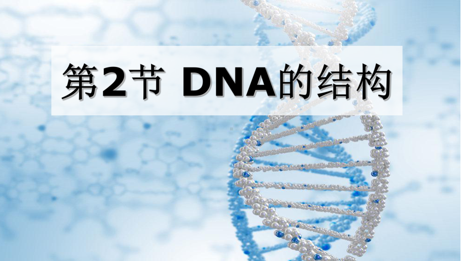 3.2DNA的结构 ppt课件（0002） (2)-2023新人教版（2019）《高中生物》必修第二册.pptx_第1页