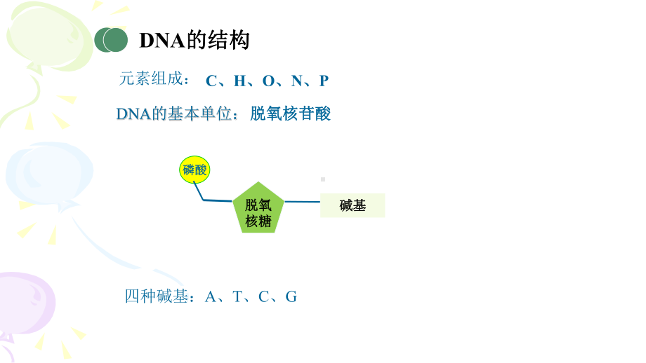 3.2DNA的结构 ppt课件（0002） (2)-2023新人教版（2019）《高中生物》必修第二册.pptx_第3页