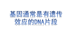 3.4基因通常是有遗传效应的DNA片段 ppt课件(6)-2023新人教版（2019）《高中生物》必修第二册.pptx