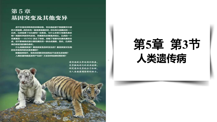 5.3人类遗传病 ppt课件(10)-2023新人教版（2019）《高中生物》必修第二册.pptx_第1页