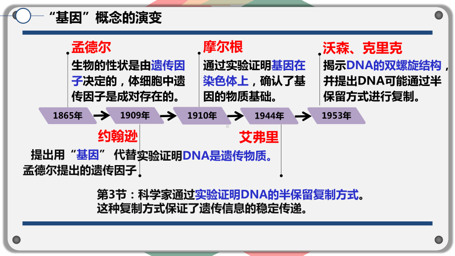 3.4基因通常是有遗传效应的DNA片段 ppt课件(9)-2023新人教版（2019）《高中生物》必修第二册.pptx_第2页