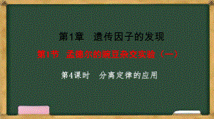 1.1孟德尔的豌豆杂交实验（一） 第4课时 ppt课件-2023新人教版（2019）《高中生物》必修第二册.pptx