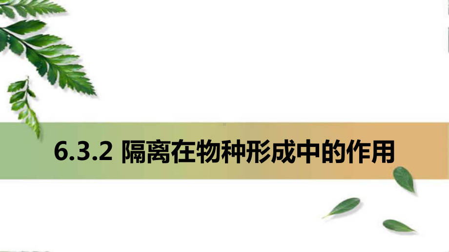 6.3.2 隔离在物种形成中的作用 ppt课件(0002)-2023新人教版（2019）《高中生物》必修第二册.pptx_第1页