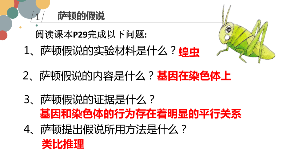 2.2基因在染色体上 ppt课件(0001)-2023新人教版（2019）《高中生物》必修第二册.pptx_第3页